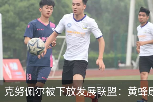 克努佩尔被下放发展联盟：黄蜂康复与重建进程的关键阶段